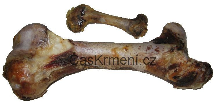Hověz&iacute; kost gigant je pamlsek pro velk&eacute; psy velikosti XXL