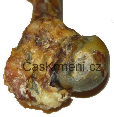 Su&scaron;en&aacute; bravčov&aacute; kosť je poch&uacute;ťka vhodn&aacute; k dlh&eacute;mu okusovaniu.