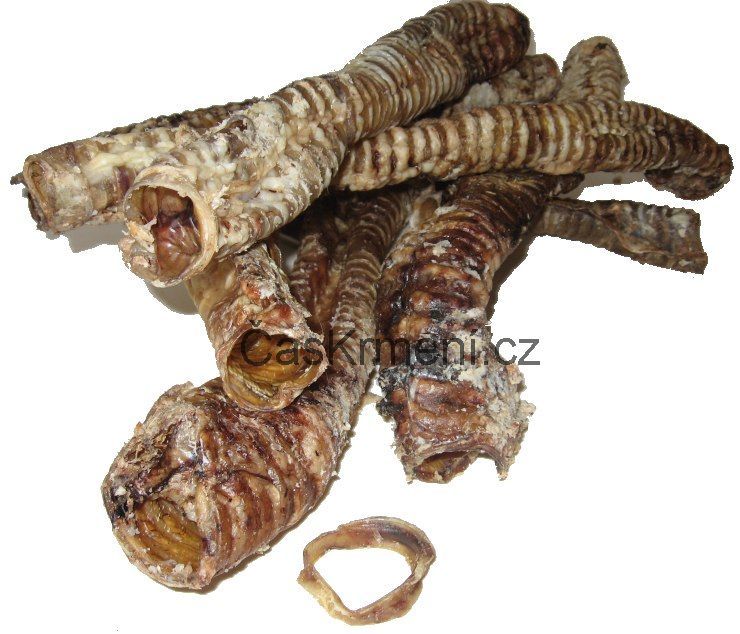 Hověz&iacute; trachea su&scaron;en&aacute; v jednom kuse je pochoutka vhodn&aacute; pro středn&iacute; až velk&eacute; psy