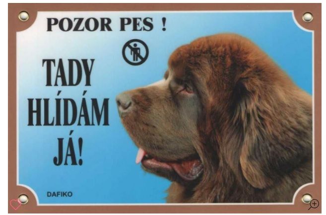 Cedulka TADY HL&Iacute;D&Aacute;M J&Aacute;, novofoundlandsk&yacute; pes hněd&yacute;.