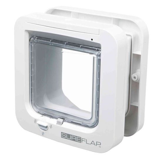 v&scaron;echny kočky mohou j&iacute;t ven, ale jen kočky s odpov&iacute;daj&iacute;c&iacute;m mikročipem mohou zpět dovnitř