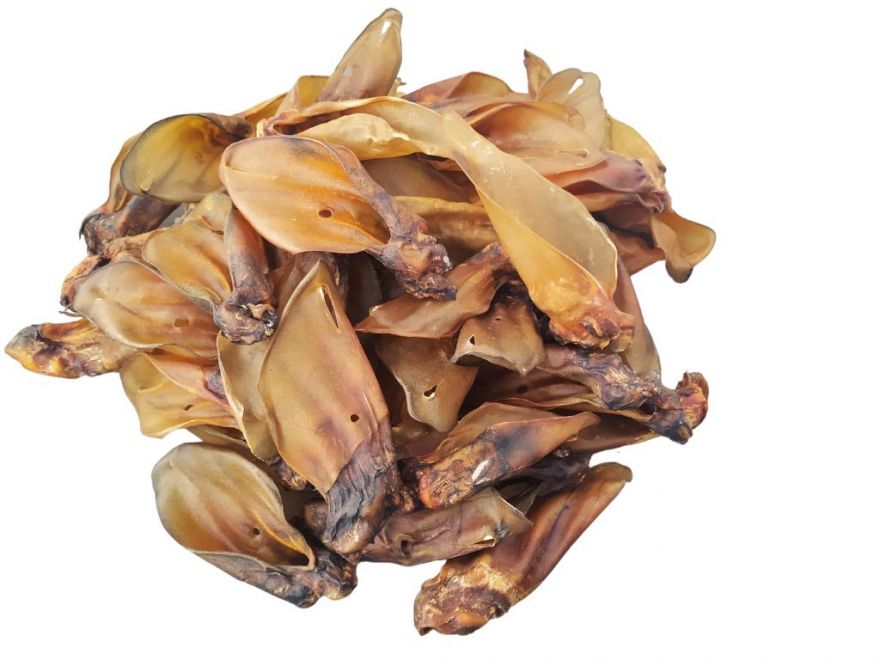 Hov&auml;dzie su&scaron;en&eacute; u&scaron;i pre psov. Such&aacute; netučn&aacute; ma&scaron;krta pre v&auml;č&scaron;ie psy.