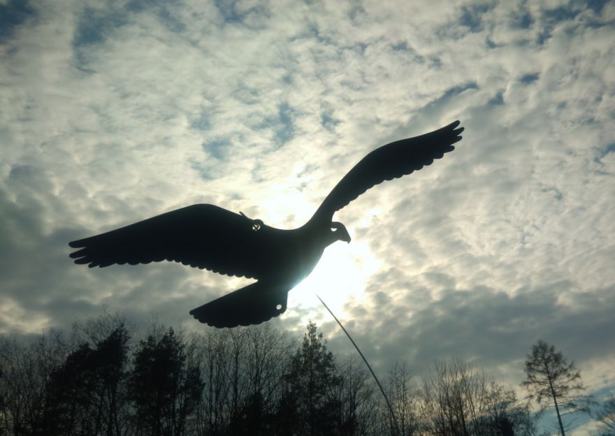 Maketa drav&eacute;ho pt&aacute;ka odrazuj&iacute;c&iacute; men&scaron;&iacute; ptactvo. Z&aacute;věs je souč&aacute;st&iacute; balen&iacute;.