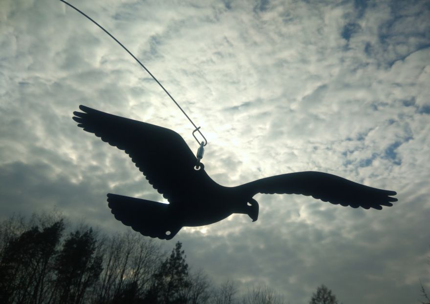 Maketa drav&eacute;ho pt&aacute;ka odrazuj&iacute;c&iacute; men&scaron;&iacute; ptactvo. Z&aacute;věs je souč&aacute;st&iacute; balen&iacute;.