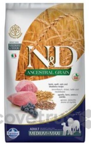 Kompletn&iacute; such&eacute; krmivo s n&iacute;zk&yacute;m obsahem obilovin, jehněč&iacute;m a borůvkami pro dospěl&eacute; psy středn&iacute;ch a velk&yacute;ch plemen.