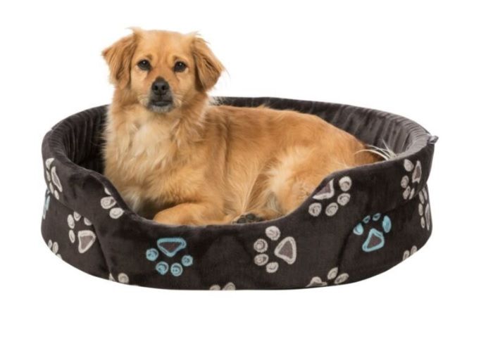 Hebk&yacute; ov&aacute;ln&yacute; pel&iacute;&scaron;ek z ply&scaron;e pro men&scaron;&iacute; psy. Taupe-&scaron;ed&yacute; pelech s barevn&yacute;m motivem tlapek.