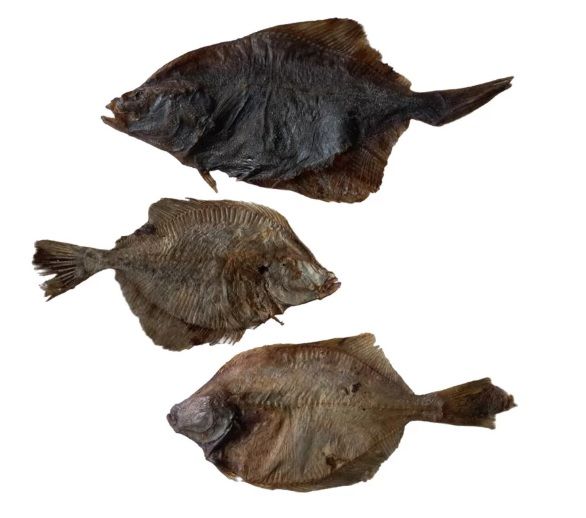 100% su&scaron;en&yacute; plat&yacute;s je př&iacute;rodn&iacute;, na b&iacute;lkoviny a omega-3 bohat&yacute; pamlsek, kter&yacute; podporuje zdravou srst, kůži, klouby i srdce va&scaron;eho psa.