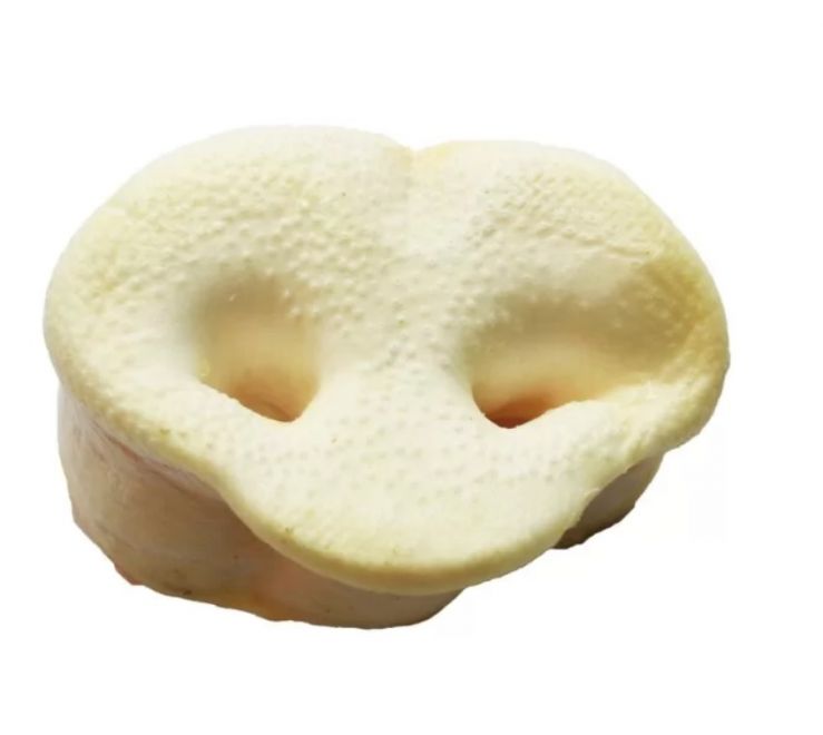 Př&iacute;rodn&iacute; vepřov&yacute; ryp&aacute;k XL &ndash; křupav&yacute; a aromatick&yacute; žv&yacute;kac&iacute; pamlsek, kter&yacute; čist&iacute; zuby, podporuje zdrav&iacute; d&aacute;sn&iacute; a je ide&aacute;ln&iacute; odměnou pro va&sc