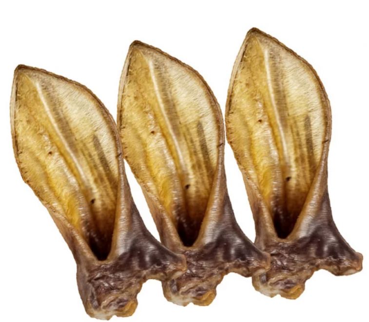 Př&iacute;rodn&iacute; ovč&iacute; u&scaron;i &ndash; n&iacute;zkotučn&yacute; a hypoalergenn&iacute; žv&yacute;kac&iacute; pamlsek, kter&yacute; bav&iacute; psa, podporuje zdrav&eacute; d&aacute;sně a je ide&aacute;ln&iacute; jako odměna.