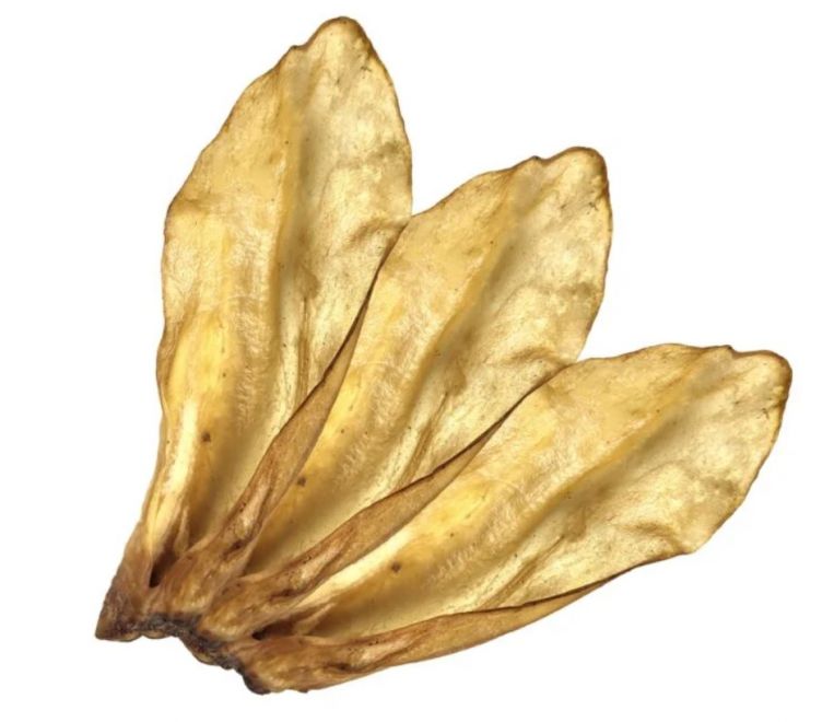 Př&iacute;rodn&iacute; koz&iacute; u&scaron;i jsou chutn&yacute;, vysoce proteinov&yacute; žv&yacute;kac&iacute; pamlsek pro psy, kter&yacute; podporuje dent&aacute;ln&iacute; hygienu a přirozenou potřebu žv&yacute;k&aacute;n&iacute;.