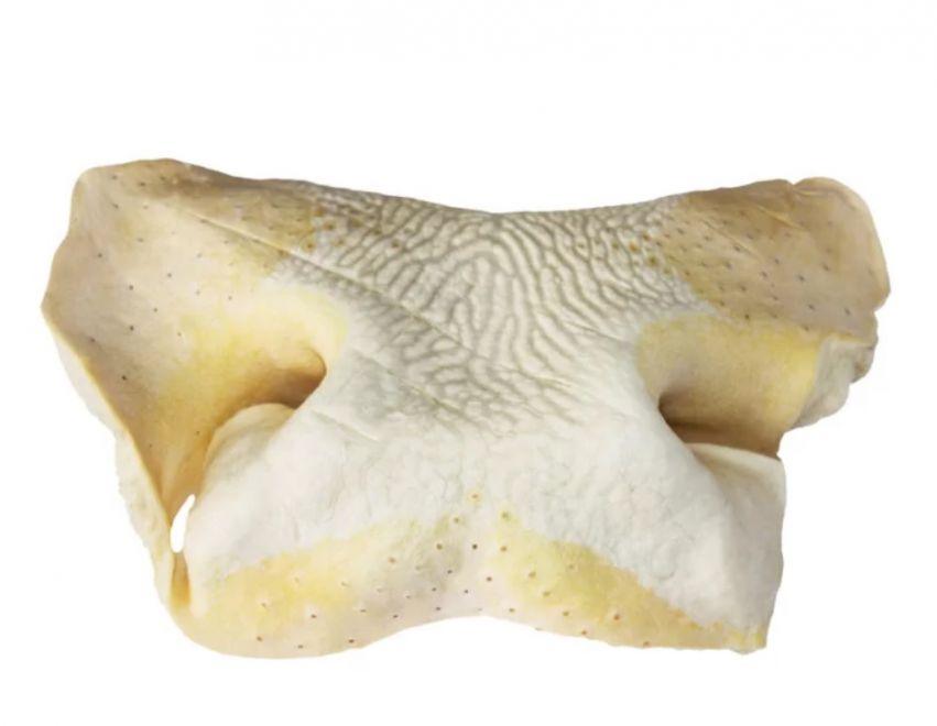 Př&iacute;rodn&iacute; hověz&iacute; nos je dlouhotrvaj&iacute;c&iacute; žv&yacute;kac&iacute; pamlsek pro psy, kter&yacute; pom&aacute;h&aacute; čistit zuby a podporuje zdrav&eacute; d&aacute;sně.