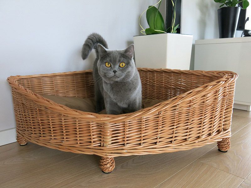 Luxusn&yacute; pr&uacute;ten&yacute; pelech pre mačku s vkladac&iacute;m vank&uacute;&scaron;ikom do vn&uacute;torn&yacute;ch priestorov - bytu či domu.