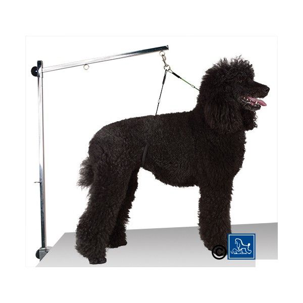 Grooming popruh 2 v 1 s přední a zadní pro fixací