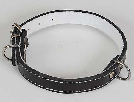 Filcem podšitý kožený obojek zdobený švy