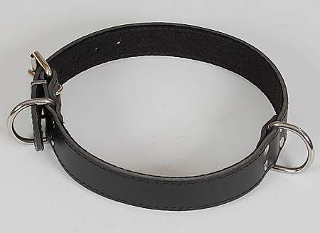 Černým filcem podšitý kožený obojek o velikosti 38-48cm