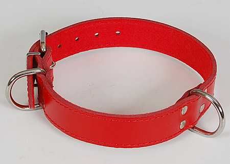 Červený obojek podšitý kožený obojek o velikosti 38-48cm